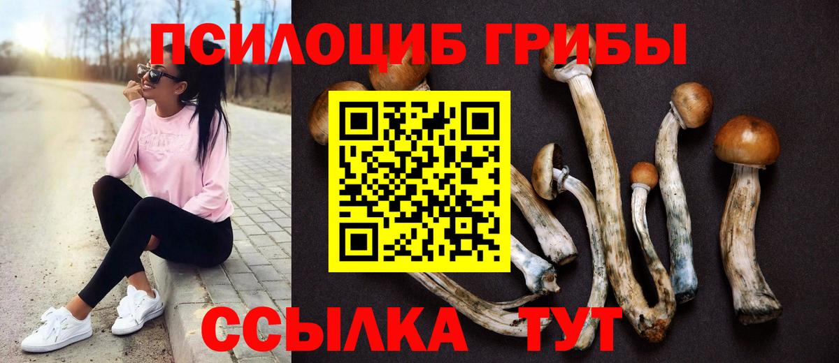 Псилоцибиновые грибы мухоморы  Псилоцибиновые грибы Psilocybe  Вход с VPN  Черняховск 